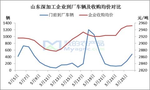 “玉米市場漲看山東，跌看廣東”這句老話如今還適用嗎？